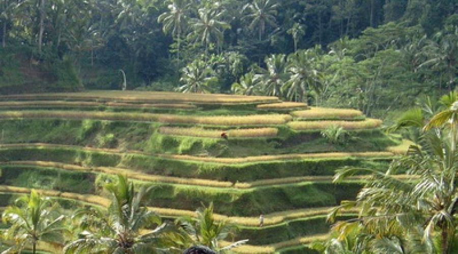 wisata230509resize