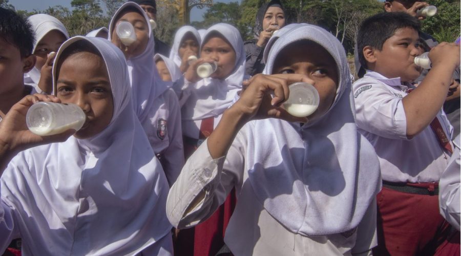 antarafoto-gerakan-minum-susu-di-boyolali-020924-ajn-4