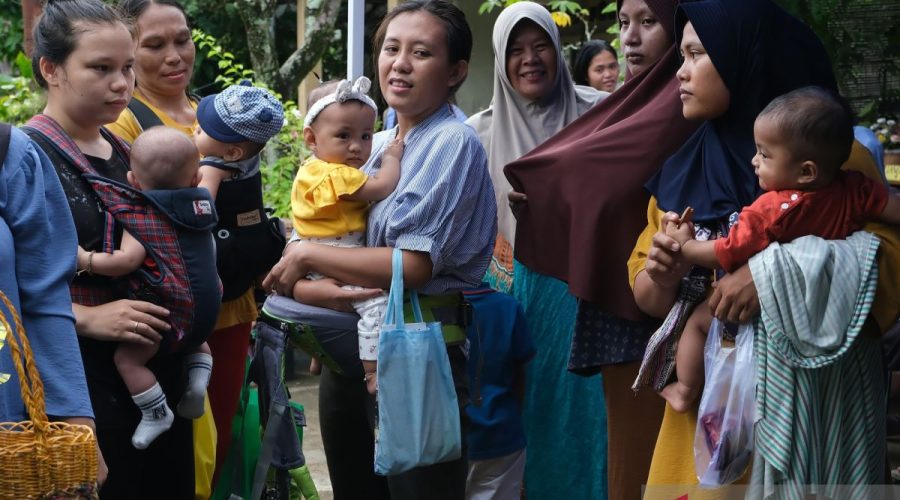 layanan-posyandu-di-kabupaten-kubu-raya-2681177