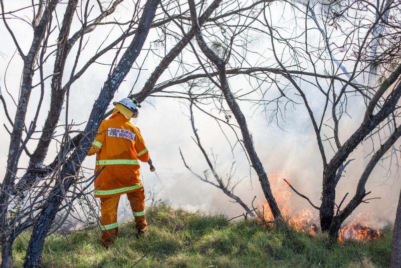 Petugas pemadam kebakaran memadamkan api di hutan