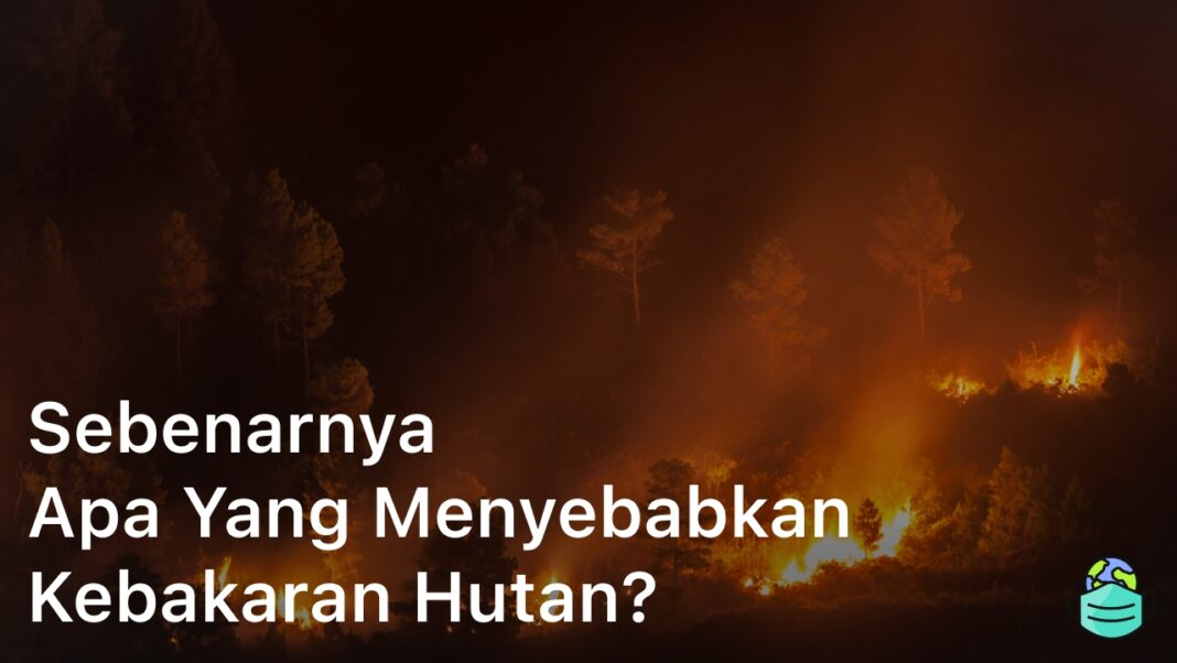 Sebenarnya Apa yang Menyebabkan Kebakaran Hutan?