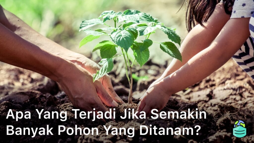 Apa yang Terjadi Jika Semakin Banyak Pohon yang Ditanam?