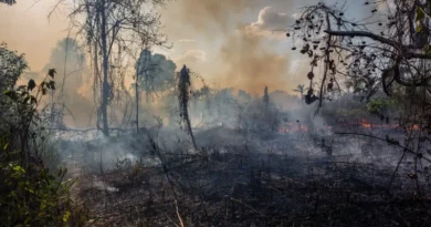 Inovasi Pertanian Berkelanjutan Kunci Ketahanan Pangan di Era Perubahan Iklim