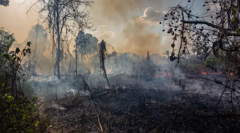 Inovasi Pertanian Berkelanjutan Kunci Ketahanan Pangan di Era Perubahan Iklim