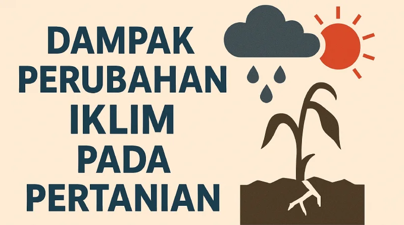 Kenali dampak perubahan iklim pada pertanian dan bagaimana petani bisa beradaptasi untuk menjaga produktivitas di tengah tantangan iklim yang makin ekstrem.