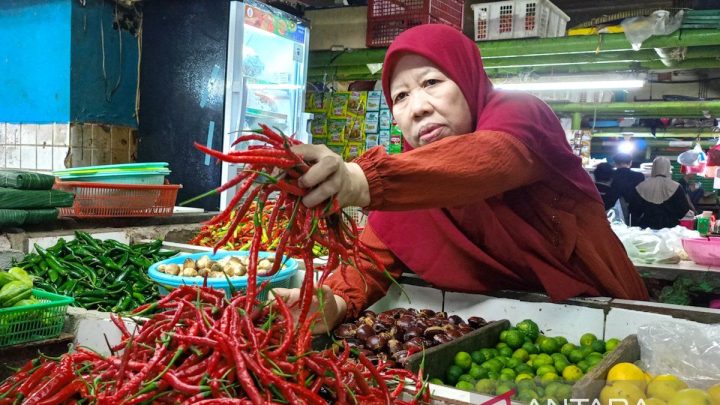 New Policy: Harga pangan naik, DKI ingatkan warga tak “panic buying”