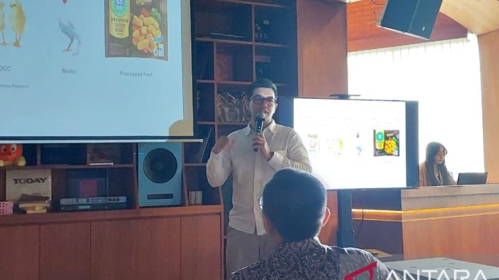Special Plan: Analis: Profitabilitas sektor perunggasan membaik dengan program MBG