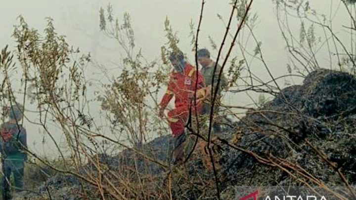 Key Issue: Kemenhut dan tim gabungan padamkan kebakaran hutan Sembalun