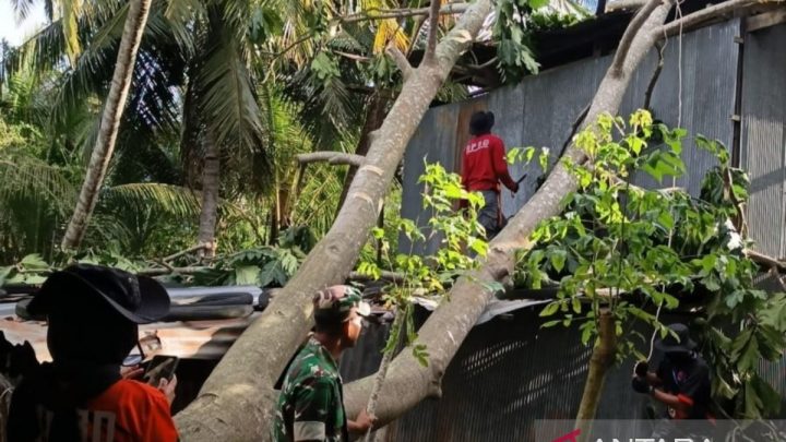 BNPB: Tim TRC Sidrap percepat pembersihan puing usai angin kencang
