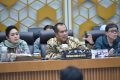 New Policy: Legislator minta narasi swasembada pangan tidak didistorsi