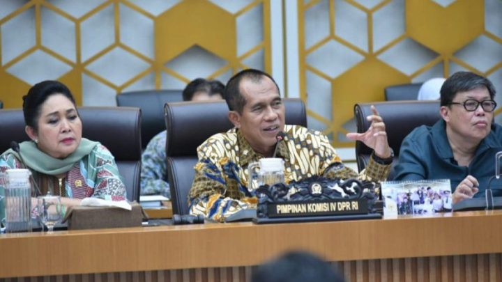 New Policy: Legislator minta narasi swasembada pangan tidak didistorsi