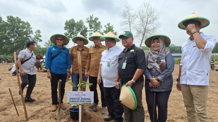 Important News: KPK panggil Dirjen Kemenhut hingga Sesditjen Minerba Kementerian ESDM