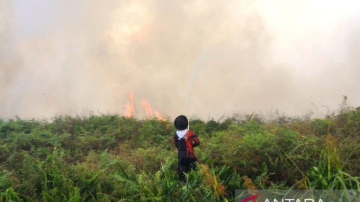 Official Announcement: HAkA: Citra satelit deteksi 280 hektare area terbakar di Aceh Barat