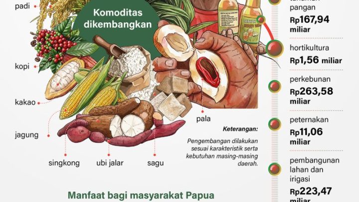 Latest Facts: Rp3,2 triliun untuk majukan pertanian Papua