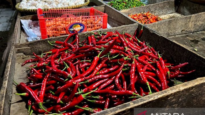 Key Strategy: Harga cabai rawit Rp70.400/kg, telur ayam Rp29.750/kg di Kamis pagi