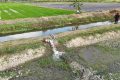 Latest Program: Kementan kawal sentra pangan Merauke antisipasi dampak El Nino