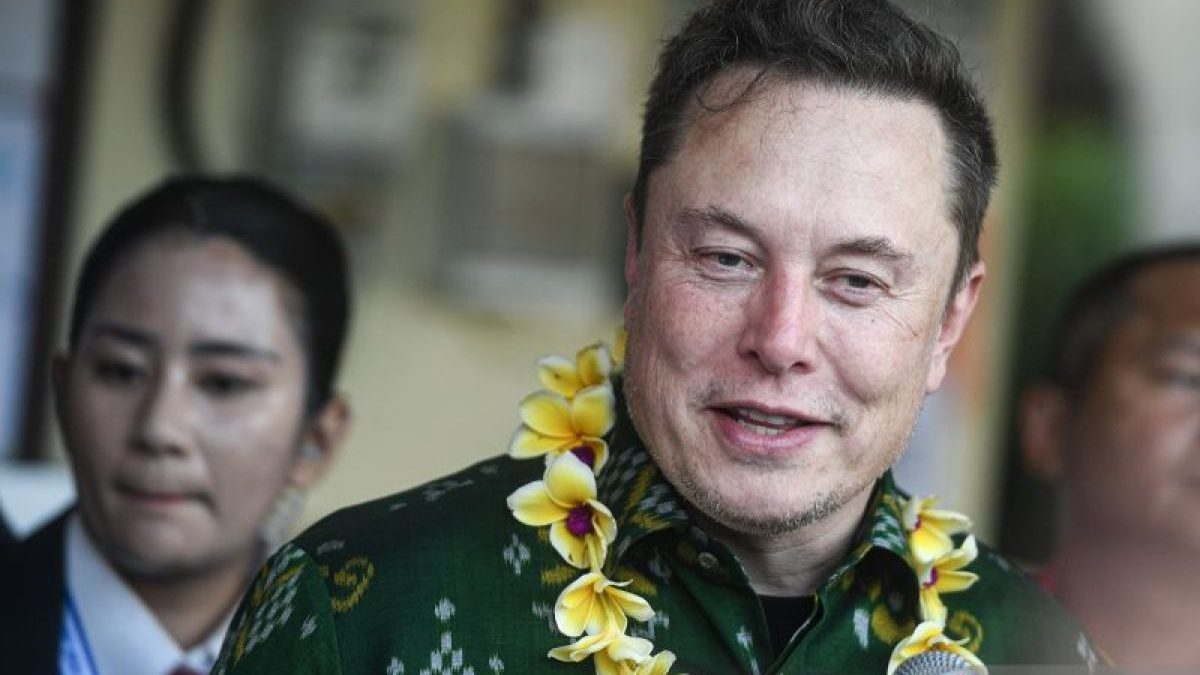 Elon