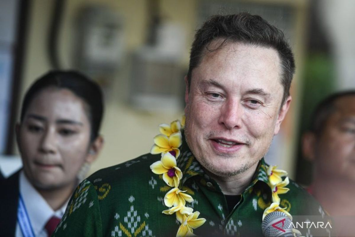 Elon