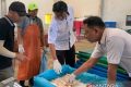 New Policy: KKP tegaskan sertifikasi mutu hasil perikanan gratis tanpa pungutan
