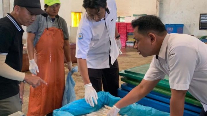 New Policy: KKP tegaskan sertifikasi mutu hasil perikanan gratis tanpa pungutan