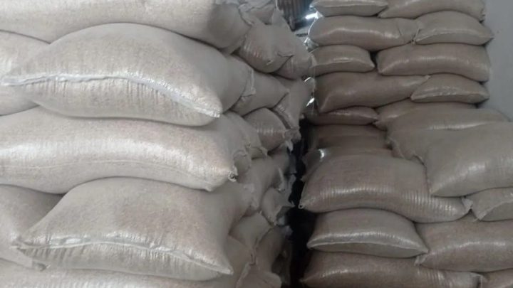 Lebak surplus 240 ribu ton beras – pasok kebutuhan Jabotabek