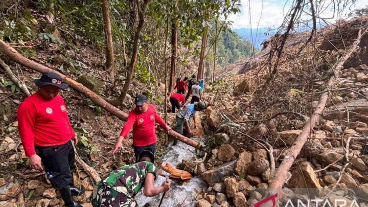 Tangani dampak gempa – BNPB perbaiki infrastruktur darurat di Sigi