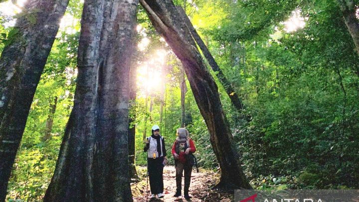 Today’s News: Warisan purba Lembah Kahung