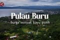 Special Plan: Pulau Buru, surga minyak kayu putih (bagian 1)