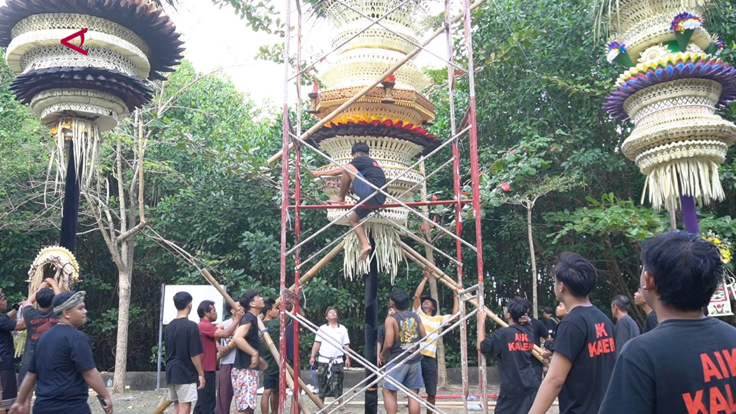 SANS_KEK-KURA-KURA-BALI-AJAK-MUDA-MUDI-DESA-SERANGAN-GELAR-FESTIVAL-PENJOR