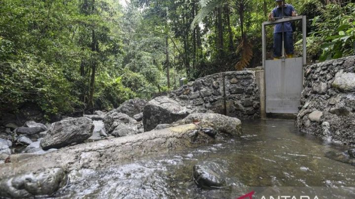 Main Agenda: Kemenhut dorong multiusaha kehutanan untuk akselerasi bioekonomi hijau