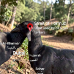 khrisna-edit-1786078569-2688c7a149