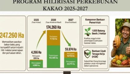 hilirisasi-kakao