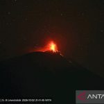 IMG-20261002-WA0014