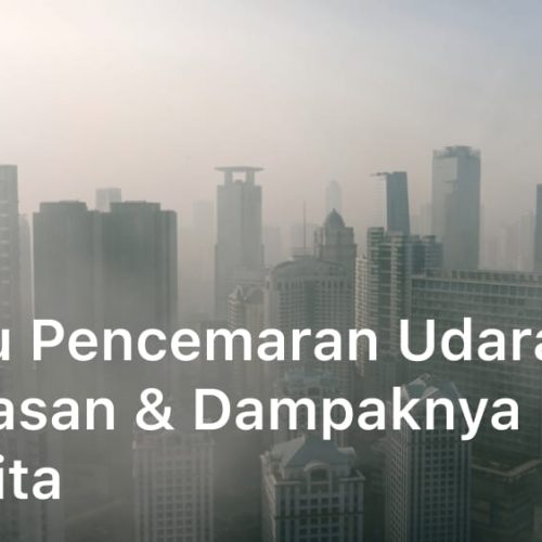 Apa Itu Pencemaran Udara, Penjelasan & Dampaknya Bagi Kita