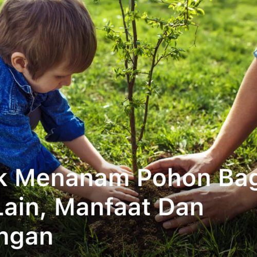 Dampak Menanam Pohon Bagi Orang Lain, Manfaat dan Keuntungan