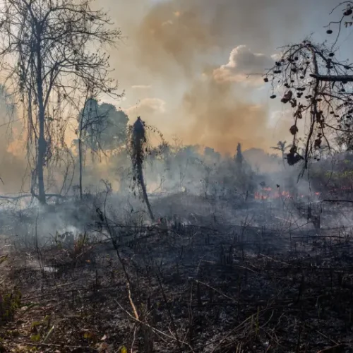 Inovasi Pertanian Berkelanjutan Kunci Ketahanan Pangan di Era Perubahan Iklim