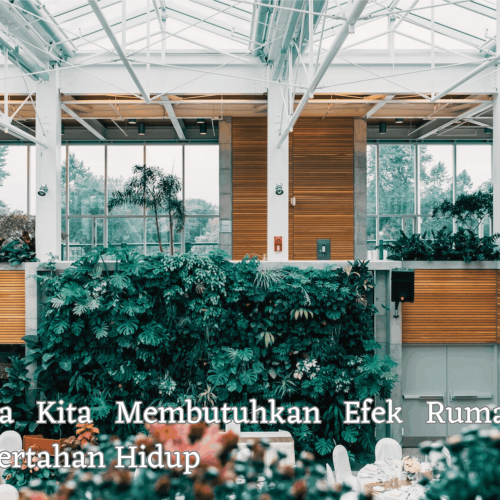 Mengapa Kita Membutuhkan Efek Rumah Kaca untuk Bertahan Hidup
