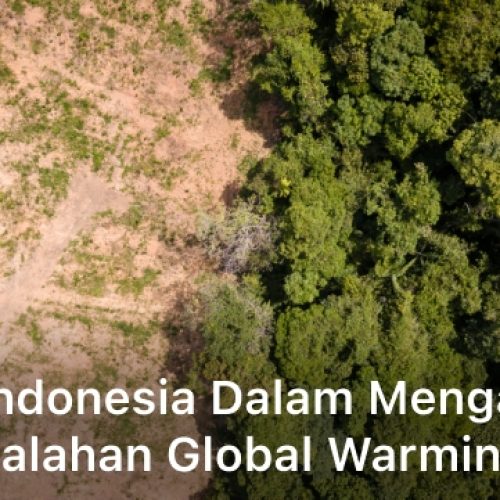 Peran Indonesia dalam Mengatasi Permasalahan Global Warming