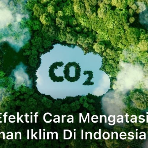 Solusi Efektif Cara Mengatasi Perubahan Iklim di Indonesia