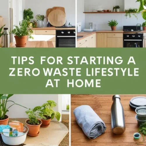 Tips Memulai Gaya Hidup Zero Waste di Rumah yang Mudah
