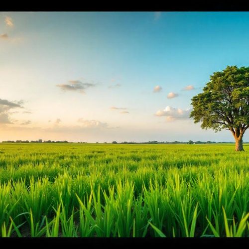 Solusi Perbaikan Sistem Irigasi untuk Pertanian Lebih Efektif