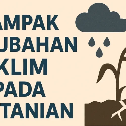 Apa Dampak Perubahan Iklim pada Pertanian?